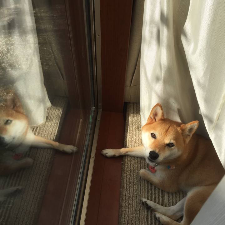 Df6a94e7 6ffc 4022 bfec 44234d63be44