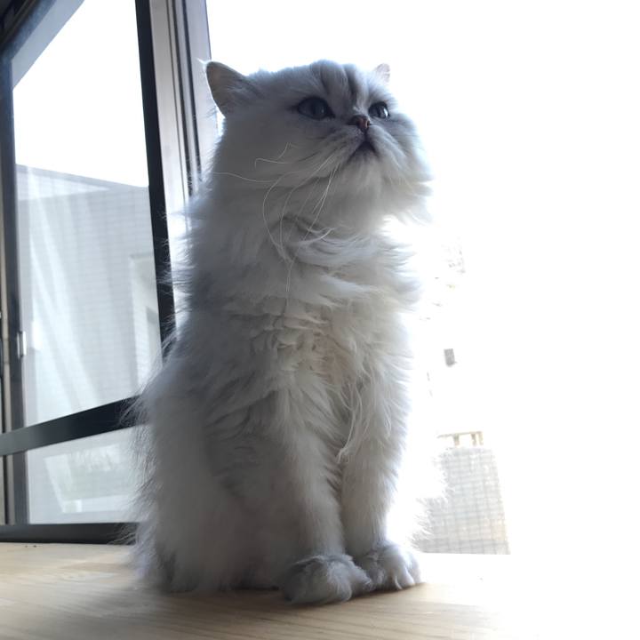 Df6b5a02 620a 43f0 ba75 c56813101b40