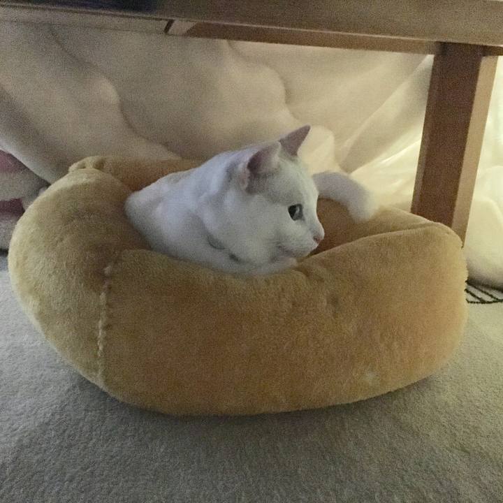 Df6bc1b3 1c18 4e1a 96a7 7f76d442a348