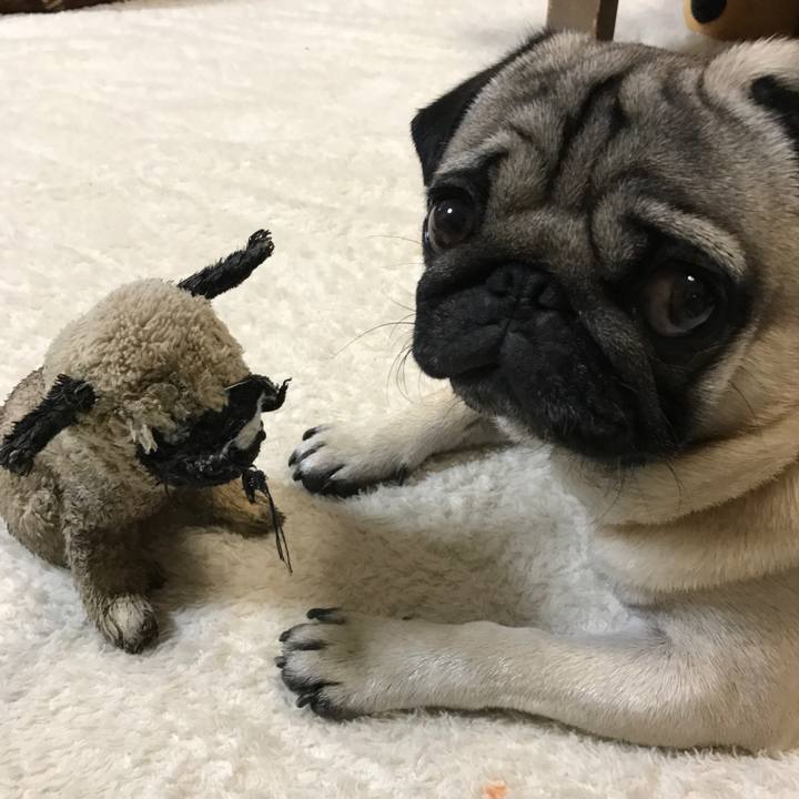 Df6bdaba 8fa0 478c 811a 8ce10bf92063