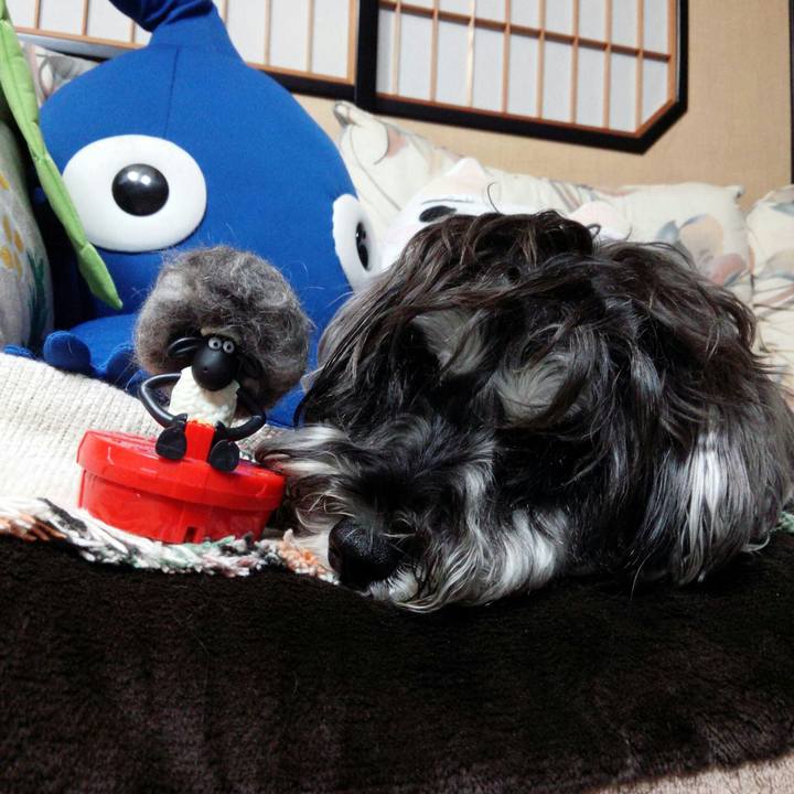 Df6c7371 780f 46c0 80cf adbe5a7ad463