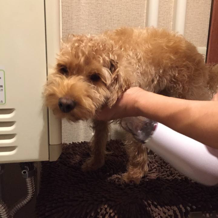 Df6c94ba c39b 41a7 8a70 97f486a996c7