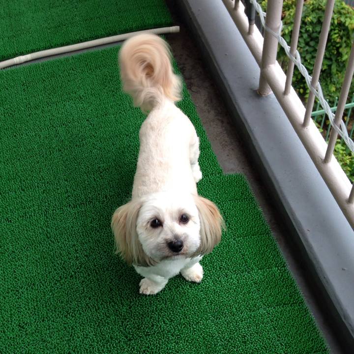 Df6d07fb a909 425c af0c 3ff9c49f8572