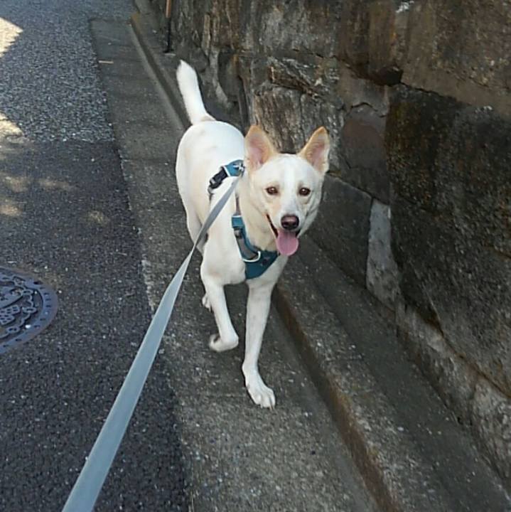 Df6e0146 d4da 44c9 b85d 8899c65f66de