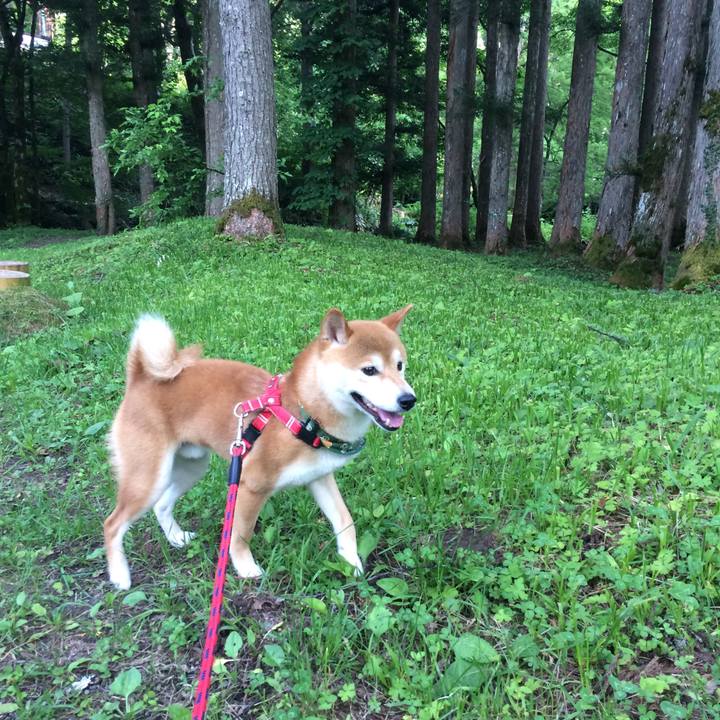 Df6e01a8 88b9 44ac b02a 8bb071c05dfd