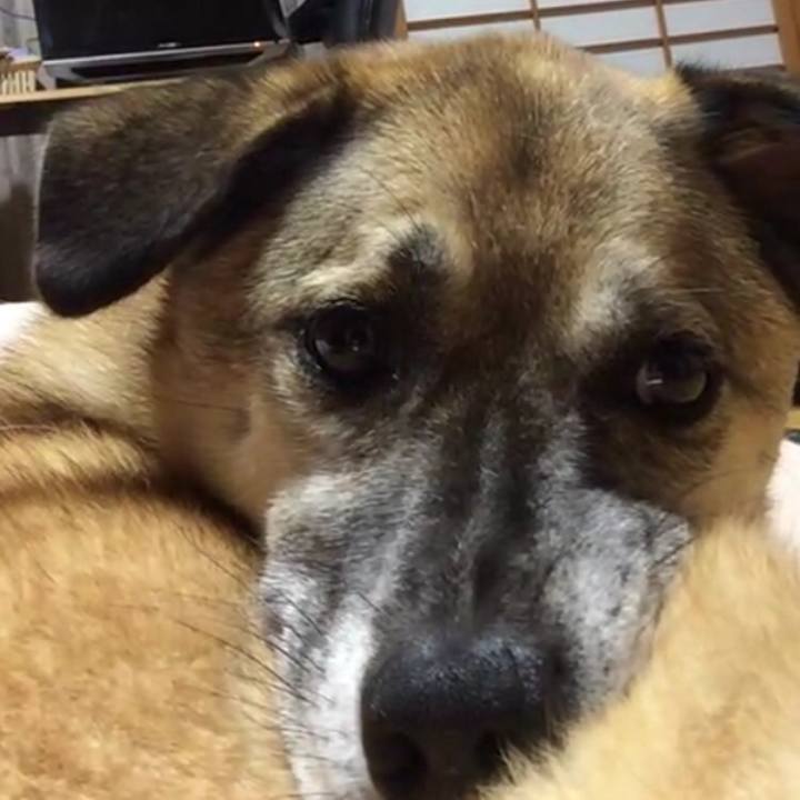 Df6e026c 608f 4215 8b85 3ab3ffb48ee0