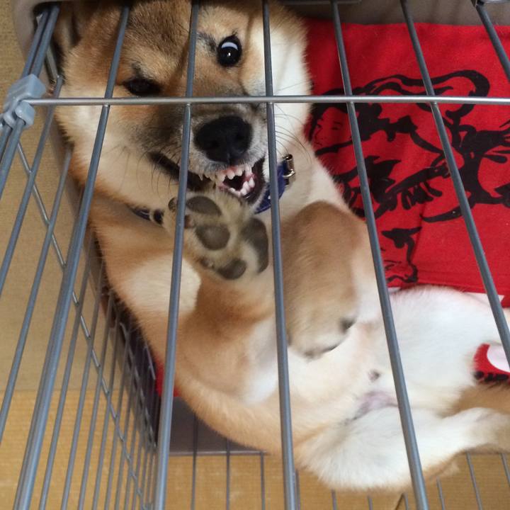 Df6e516a 5e8d 4a9c a724 8d6005525de1