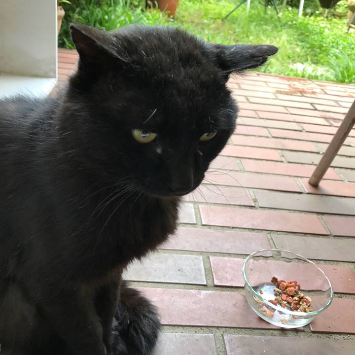 Df6e5358 d683 48dc 9803 084f9c969377