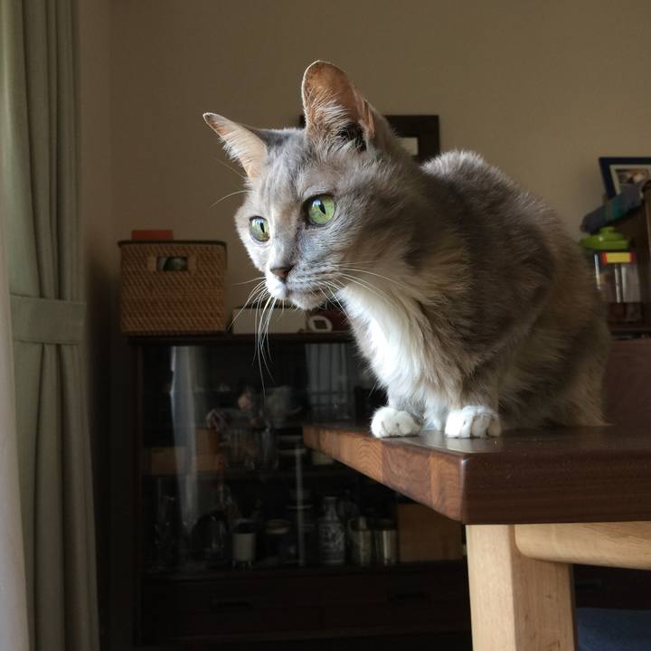 Df6e8d66 9eb8 40f3 9180 3bea6de9a4a4