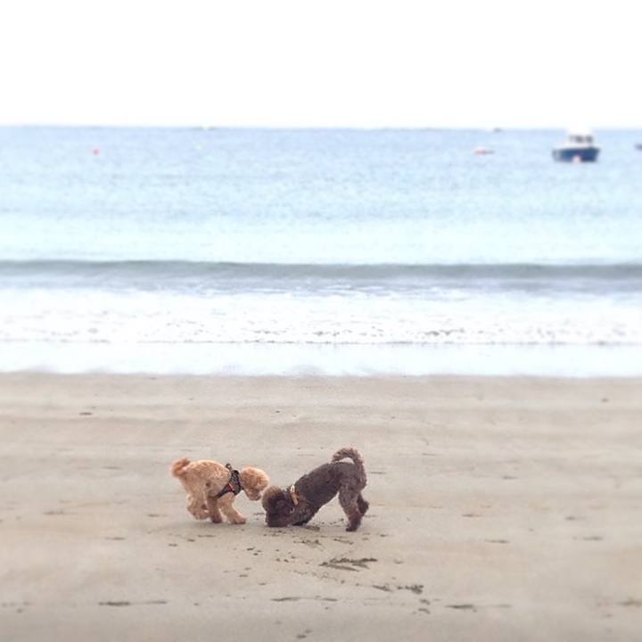 Df6eada3 277f 4151 9b6b 1c2ae1dd47cd