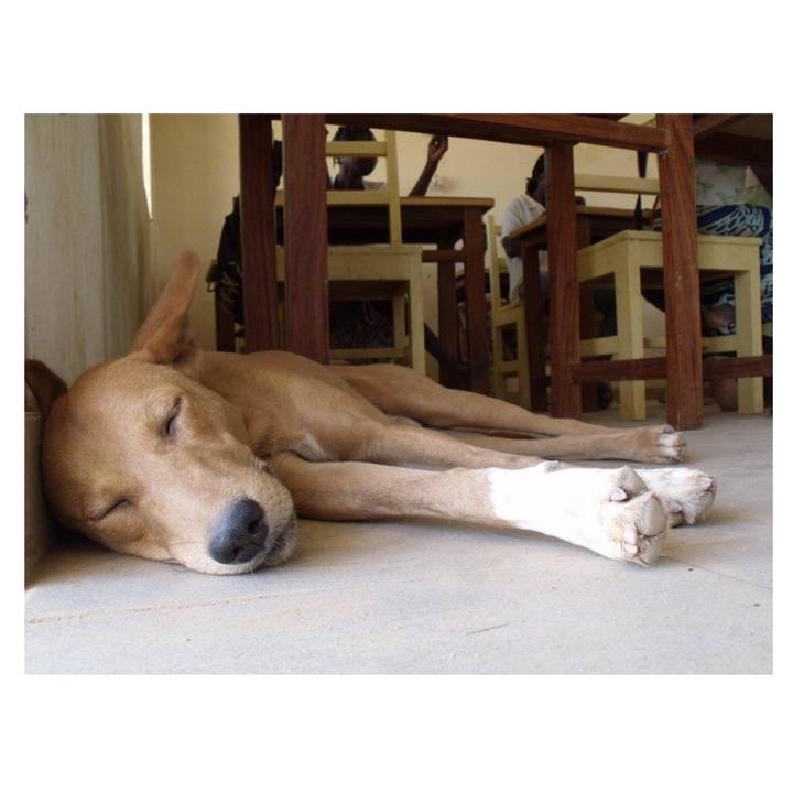 Df6f61b0 2fbb 4412 8855 7b400a732278