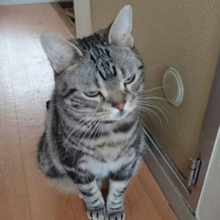 Df6faf17 0dbe 4416 8864 5aaf953066fe