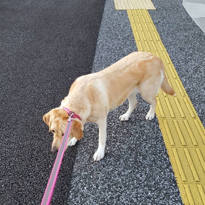 Df6ff711 1d50 4feb 81c2 a43076bef384