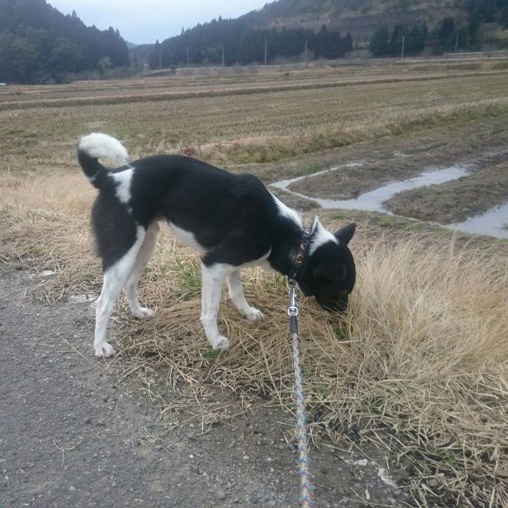 Df7025ea 495c 4c7d b149 837992ab33f1