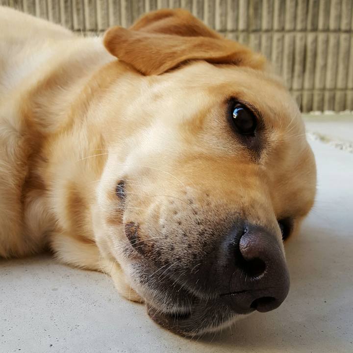 Df70582f 74f0 4107 ad46 29c6f157bde5