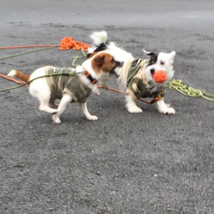 Df706012 90db 4f3e 8000 0ac8095576b3