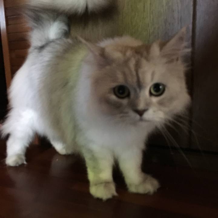 Df70a1f0 8246 4810 b335 2b173ea8b562