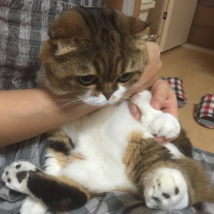 Df70ba7f 13f2 4929 a85f b162f54655fa