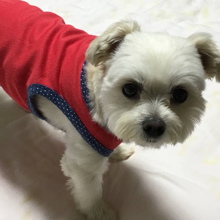 Df70be3e 555d 402c 8c4e decd3d7d56f9