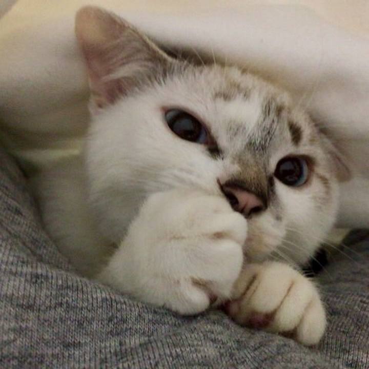 Df70c634 5577 4da1 a6d8 3a4859c87234