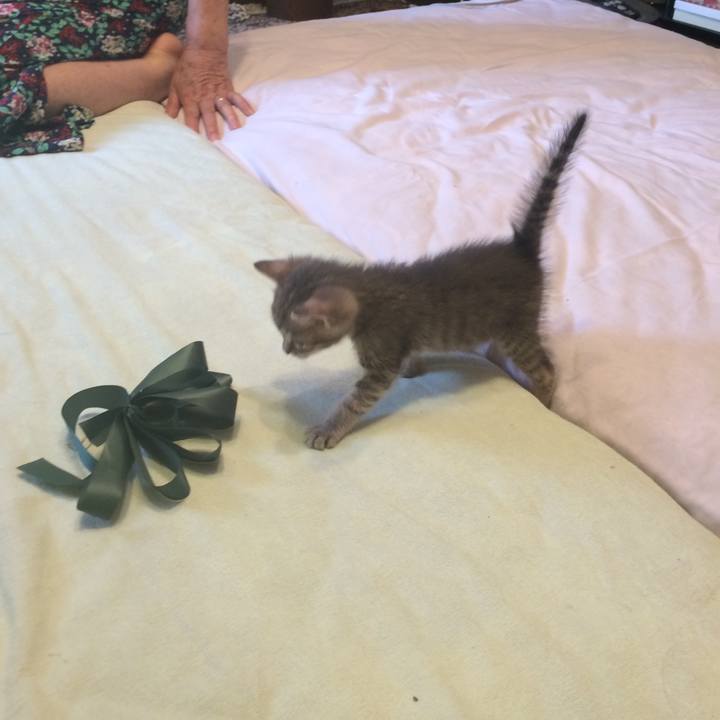 Df70ccc1 473c 40e9 901c 1f9f66b470f7