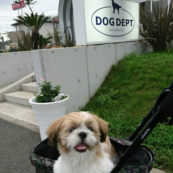 Df70ed09 d71e 4323 8388 260349eb9599