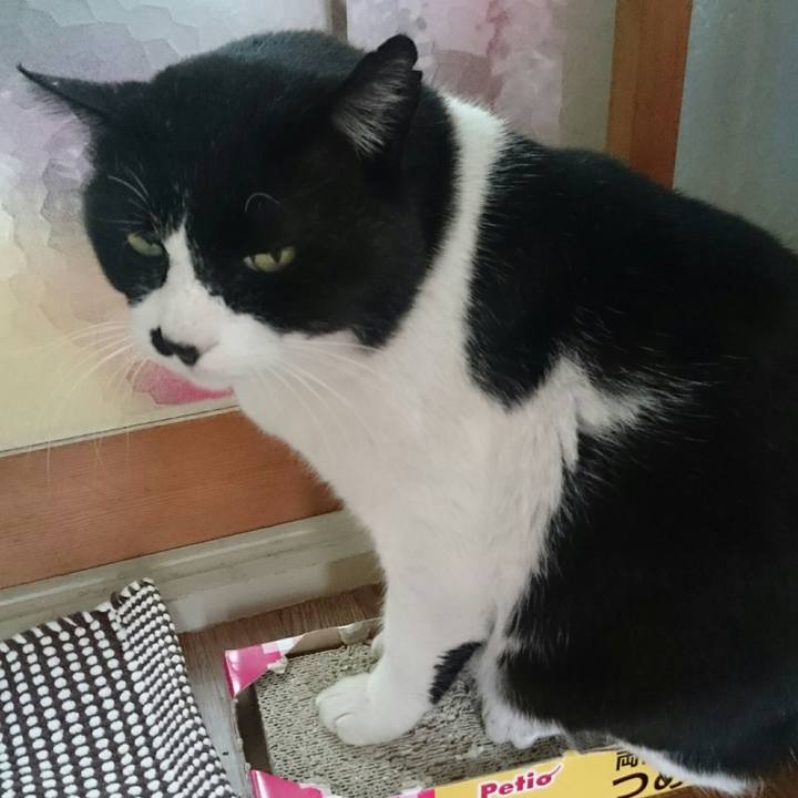 Df70f293 d556 439c beab db5c538e39ff