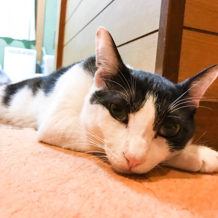 Df7183c1 fbf4 4176 9adb c7a57ab5813e