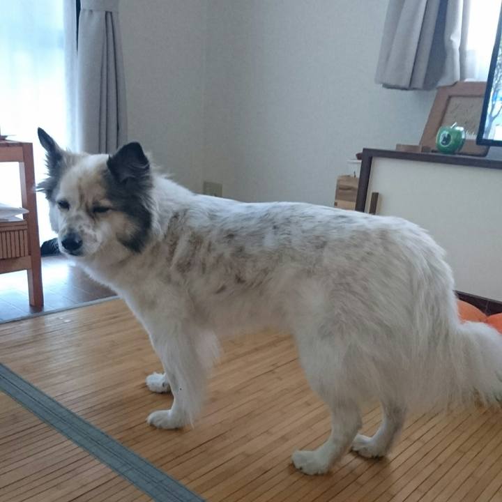 Df71874a b890 41e6 9c5c b22131586db4