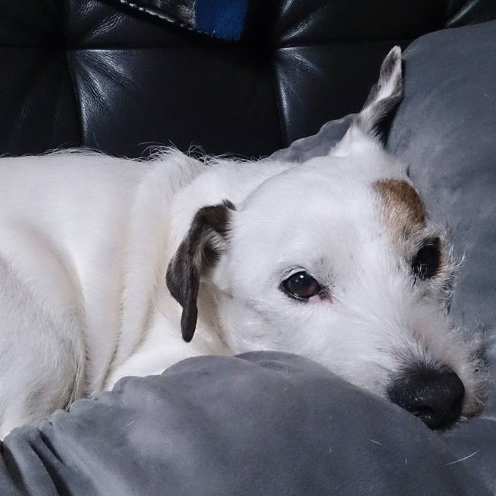 Df7256b6 beef 4ef0 87b1 ddb5d396890c