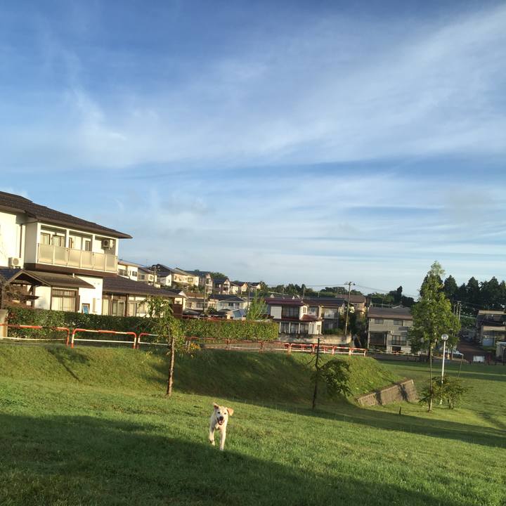 Df72bb28 70f2 43a8 b82e f15ee31b0b5f