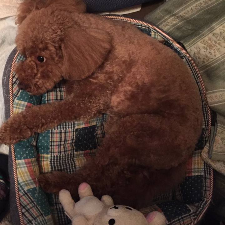 Df72ea93 0e51 4e42 8a4e 4bdb0adb44a1