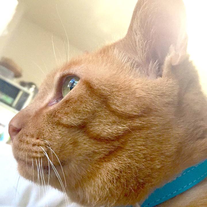 Df73405c 5d2c 4edc b468 b34402fbe143