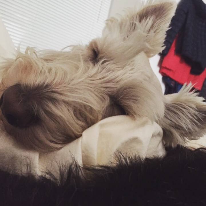 Df7379b8 97d3 475f 97e1 1fe97a482e4f