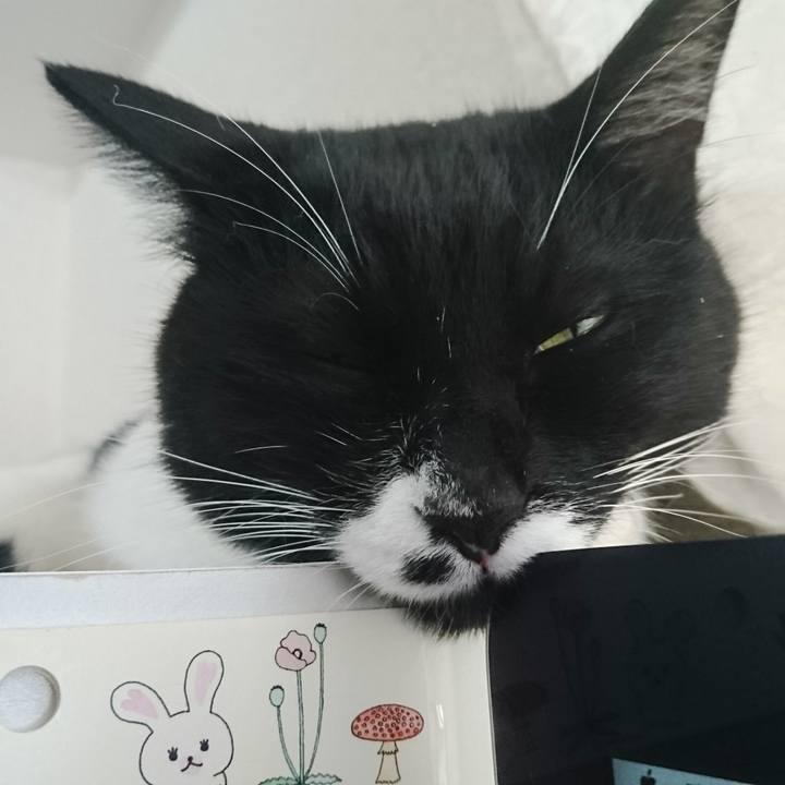 Df73ea72 ba25 4335 99c5 fcc64a2b5c15