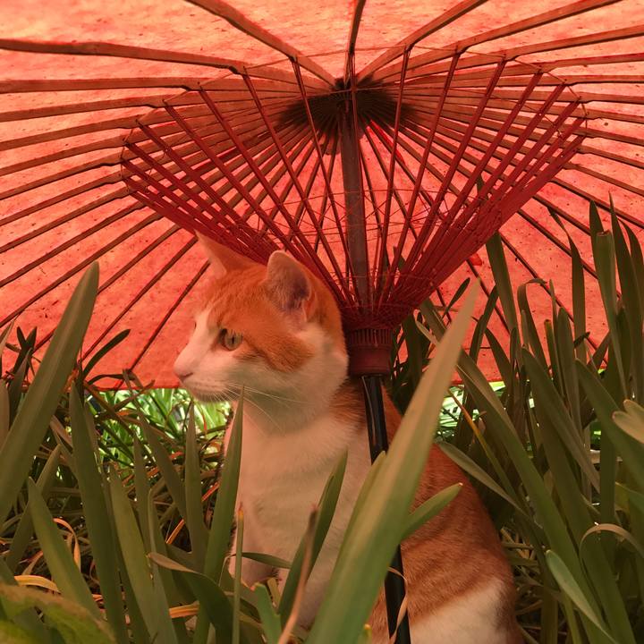 Df7476c6 7434 4ded b96f 992811fb0a76