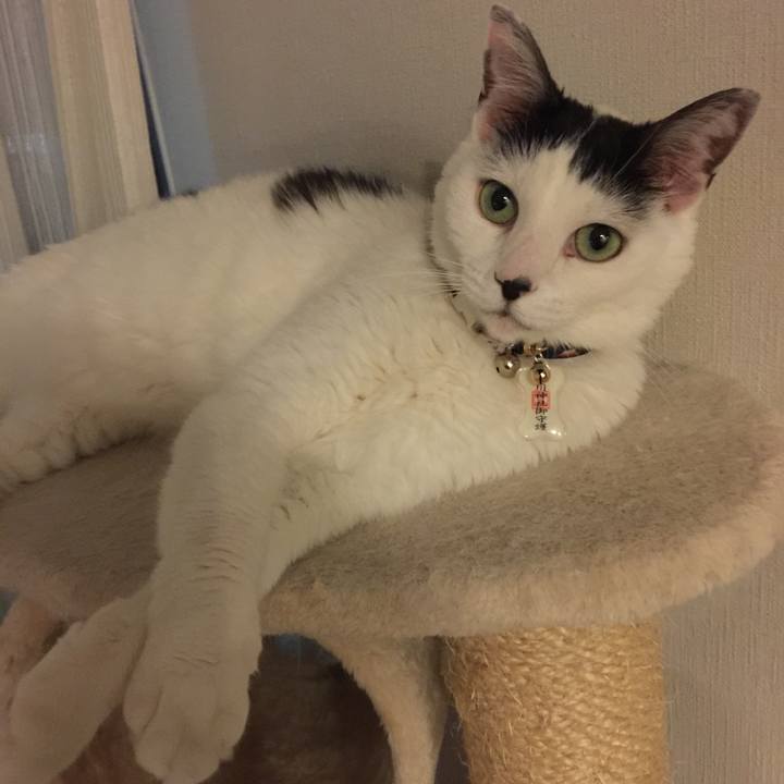 Df75c113 ff38 47ae ac8f 748caa960398