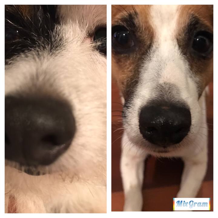 Df75e09c 8443 4302 99d4 f7f2c5f3b3bf