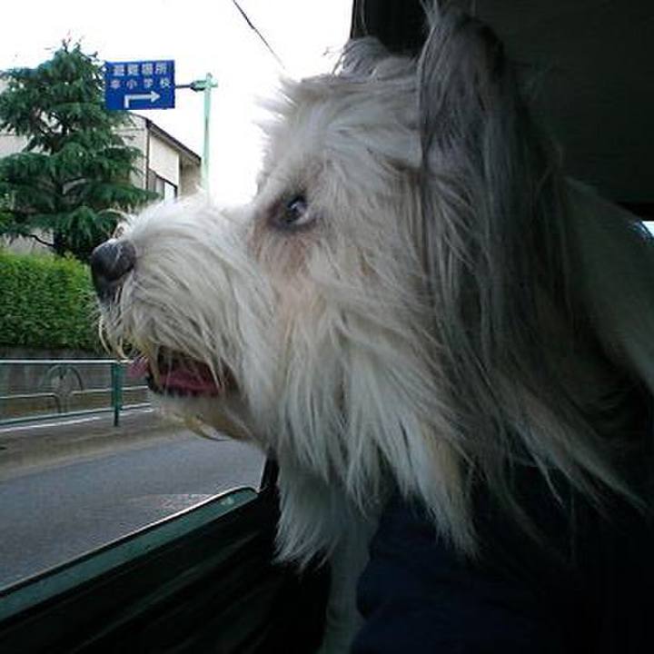 Df765d13 47f0 48b7 9fb1 9b2e0c7ac6c3