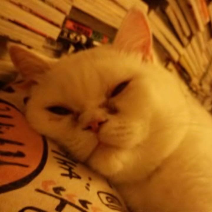 Df76bc04 ae21 4da5 a868 df24f2a4eea9