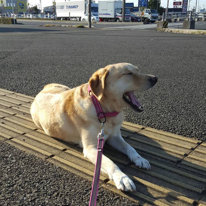 Df770e2d 128e 4285 b4e9 60af4e70994f