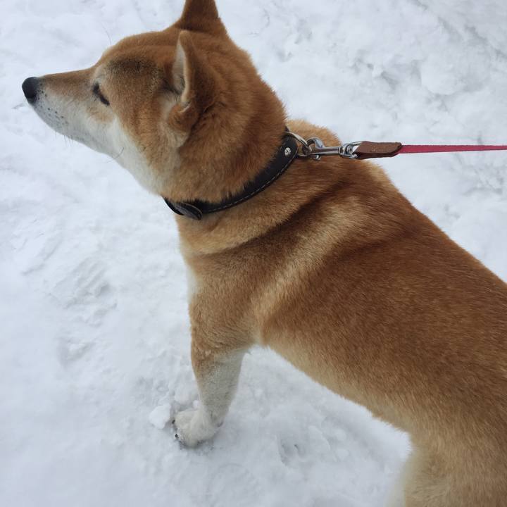 Df781b48 dad3 4305 80d4 6a7f43651e0b