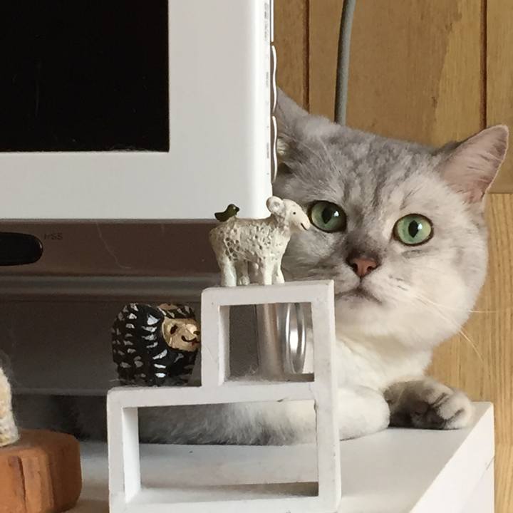 Df78225c 6b89 4513 b342 8a6e1533e2fc