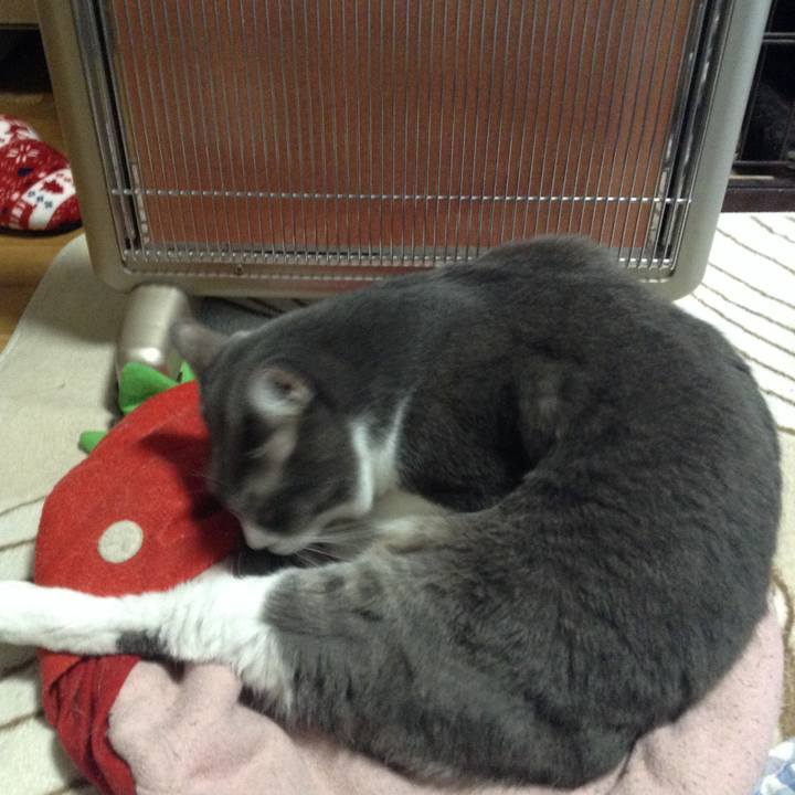 Df782cf4 f601 4bf2 859b 61ed532475de