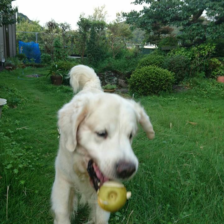 Df79b970 e4e7 46f8 b6bc 7e4f4f32022f