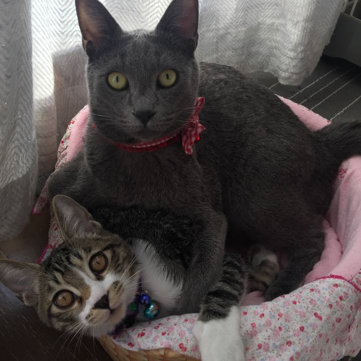 Df7a2ae9 5c78 4c6c 8900 8d56dbe5895b