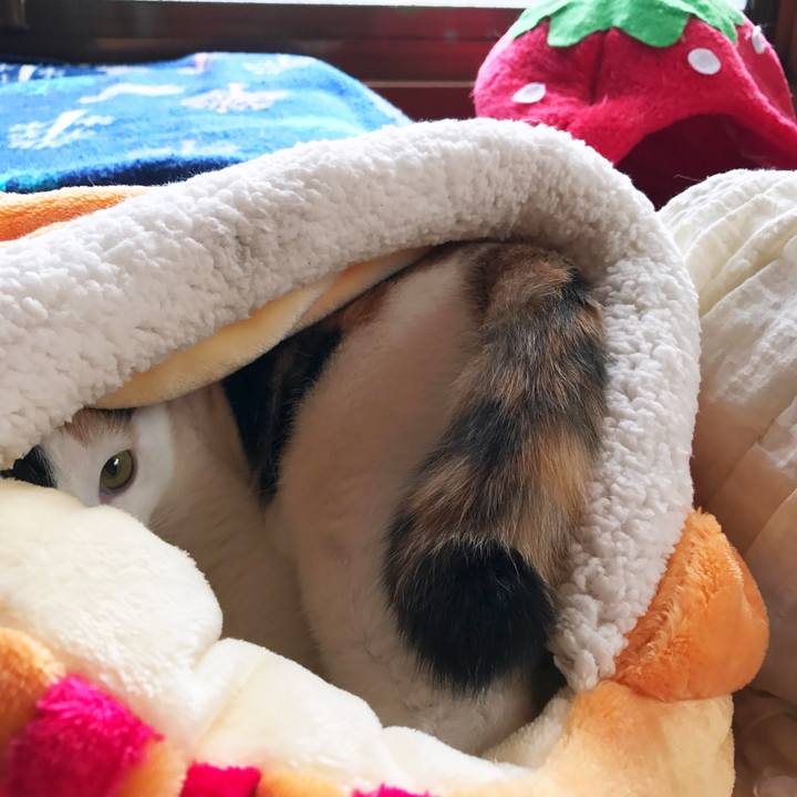 Df7a4330 8253 4e5c a759 a1f7ee6c3429