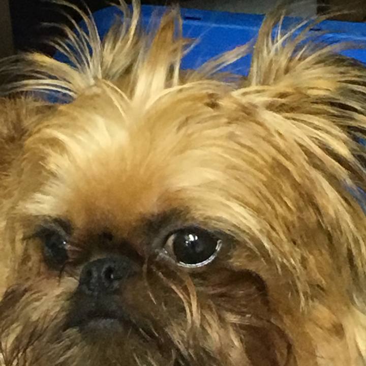 Df7ace63 60a0 48d0 99f1 64aabcff0ad6