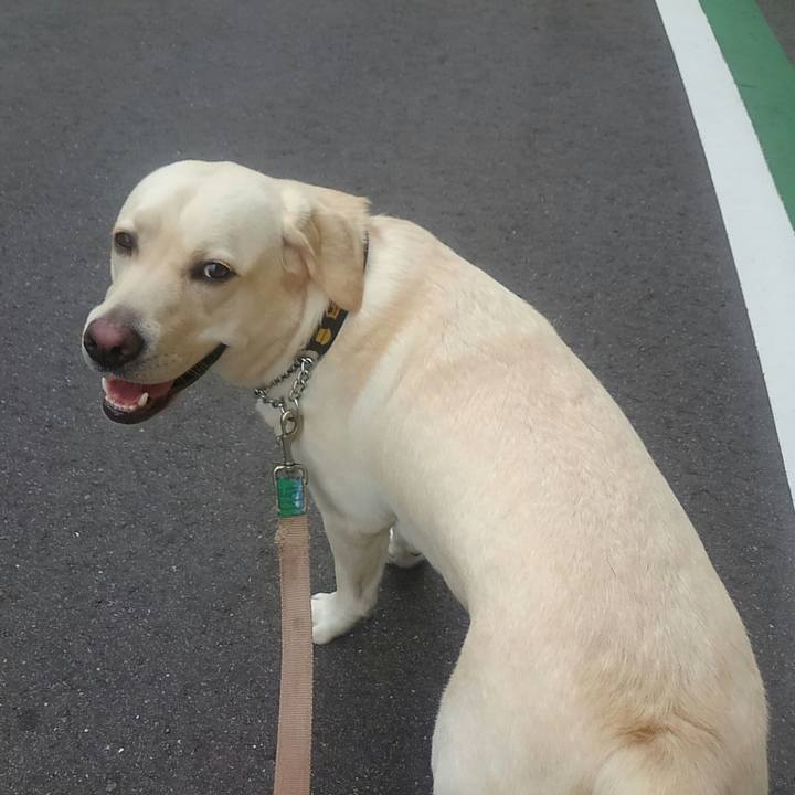 Df7b0614 102f 48f0 8755 d65c0a9e8a0d