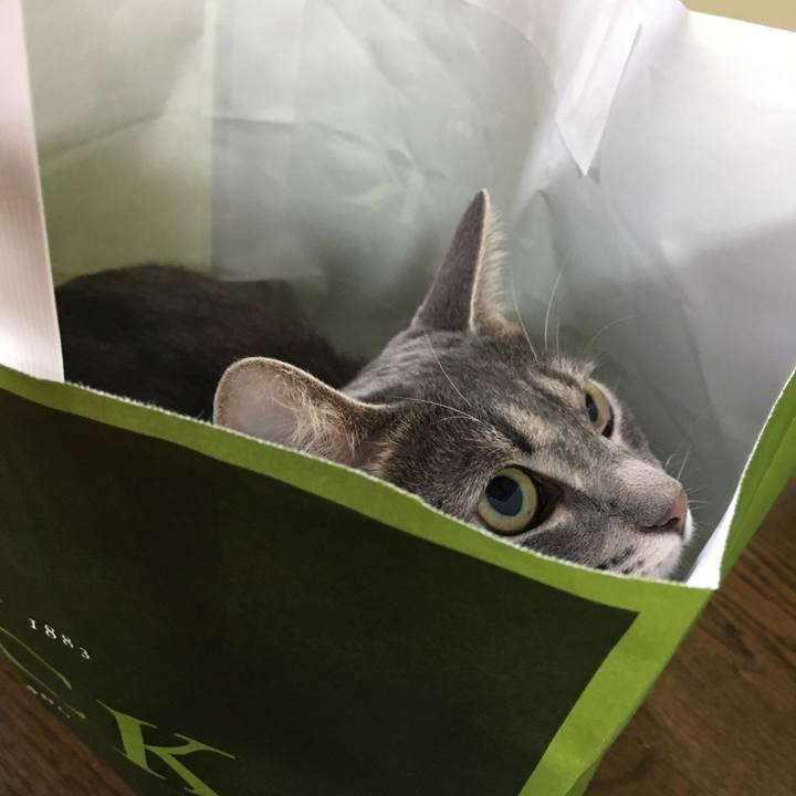 Df7b50b2 1d1c 4580 bb5d 0b770250f143